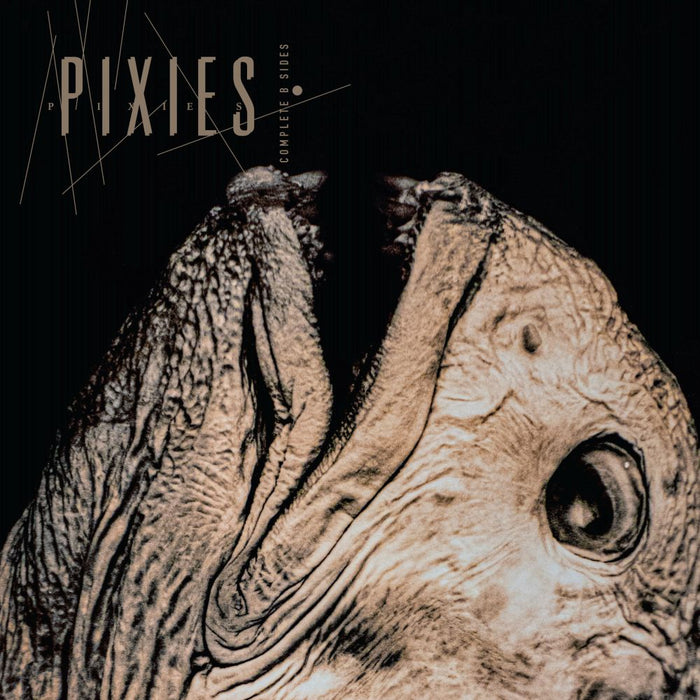 Pixies Complete B Sides: 1988-97 (Remastered) Vinyl LP Indies Crystal Clear Colour