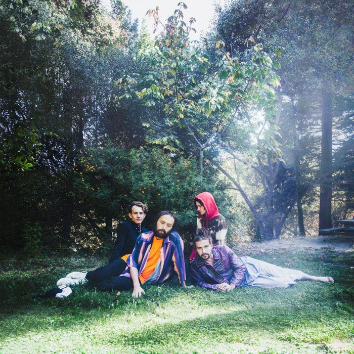 Big Thief U.F.O.F. Vinyl LP 2019