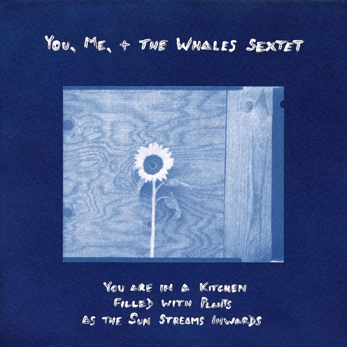 YOU. ME. + THE WHALES SEXTET You Are In A Kitchen Filled With Plants As The Sun Streams Inward Vinyl LP 2026