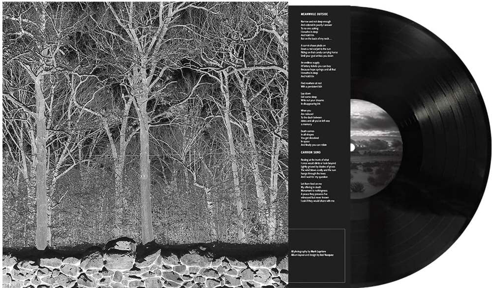 Pile Sunshine And Balance Beams Vinyl LP 2025