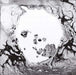 Radiohead A Moon Shaped Pool Vinyl