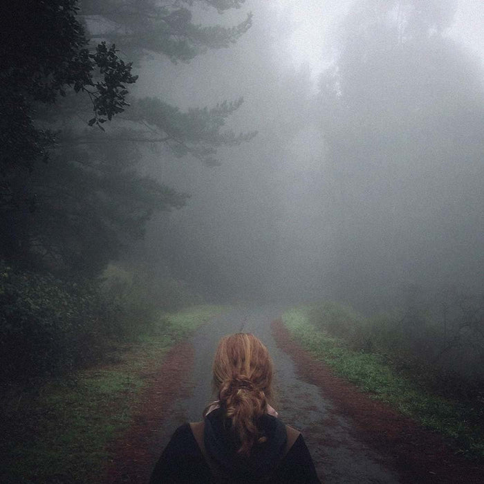 Mono Under The Pipal Tree Vinyl LP Indies Due Out 06/03/26