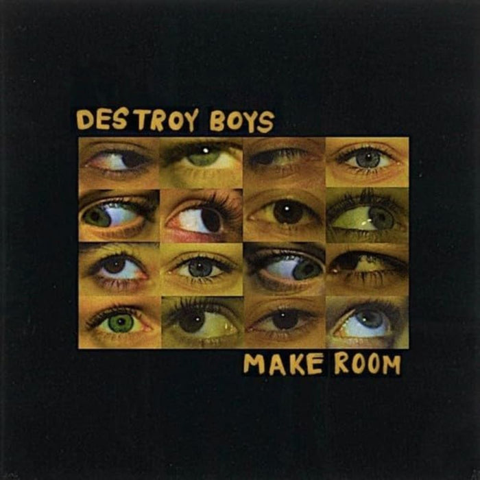 Destroy Boys Make Room Vinyl LP 2024