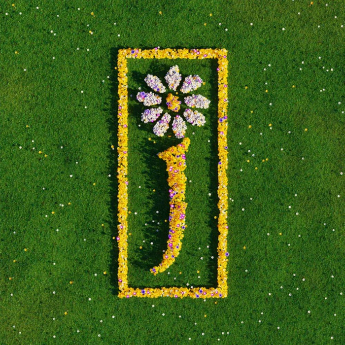 James Nothing But Love The Definitive Best Of Vinyl LP 2025