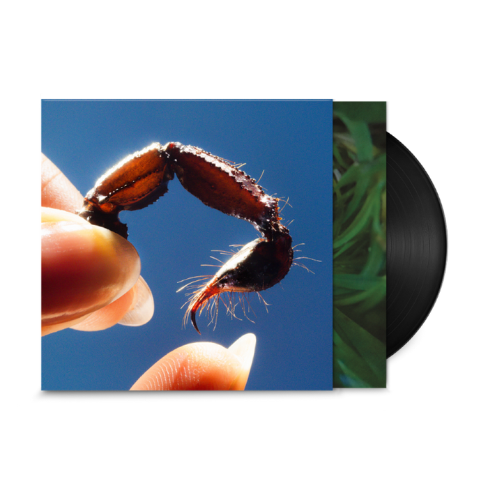 Squid Cowards Vinyl LP + Signed Print 2025