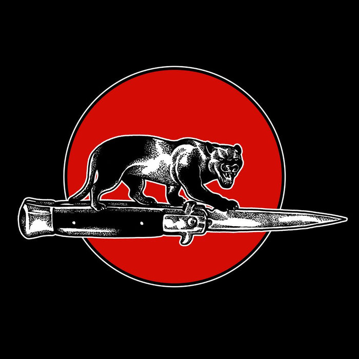 Jim Jones All Stars Cat Fight Vinyl LP Due Out 03/04/26