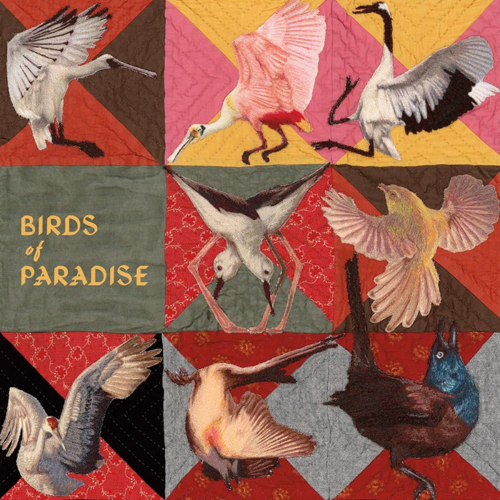 Thomas Dollbaum Birds of Paradise Vinyl LP 2026