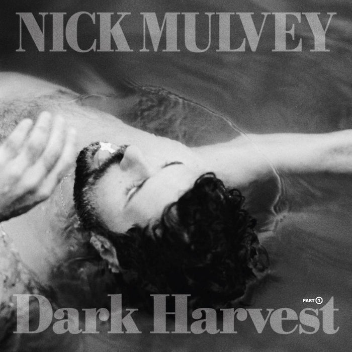 Nick Mulvey Dark Harvest Pt. 1 Vinyl LP Silver Colour 2025