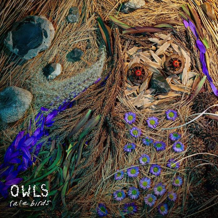 Owls Rare Birds Vinyl LP 2025