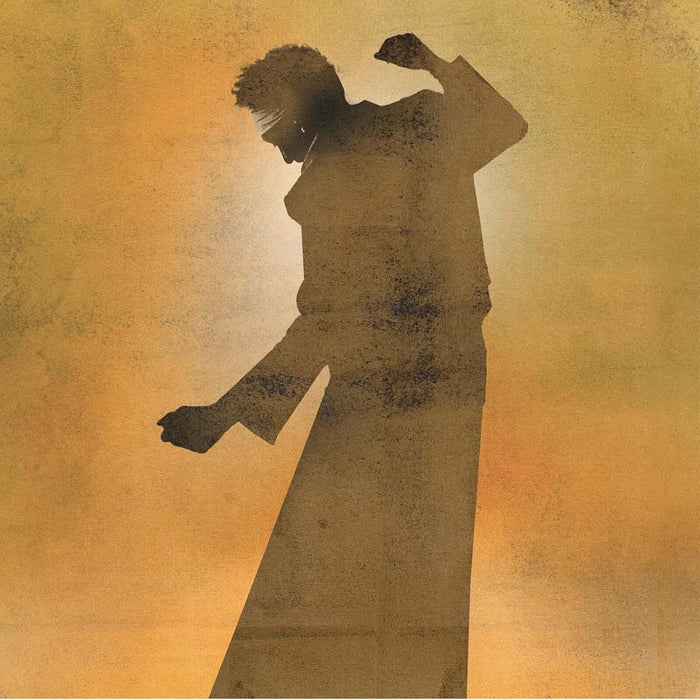 David Walters Ti Love Vinyl LP 2026
