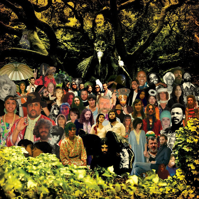 Devendra Banhart Cripple Crow Vinyl LP Black & Clear Green Smoke Colour 2025