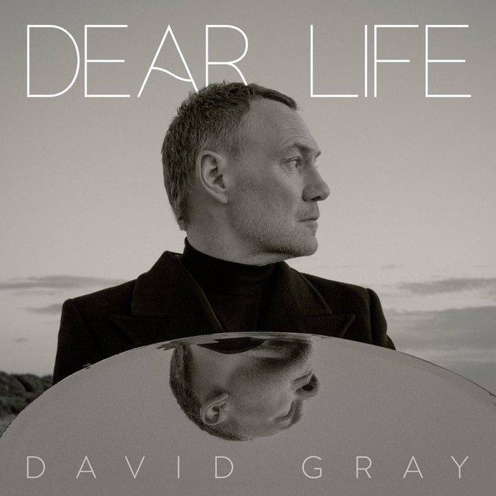 David Gray Dear Life Vinyl LP Indies Seaweed Green Colour + Signed Print Due Out 17/01/25