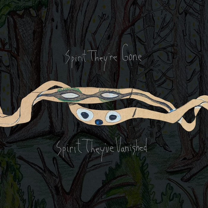 Animal Collective Spirit They're Gone, Spirit They've Vanished Vinyl LP Remastered 2023