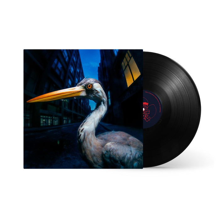 Antony Szmierek Decoding Birdsong Vinyl LP Due Out 21/08/26