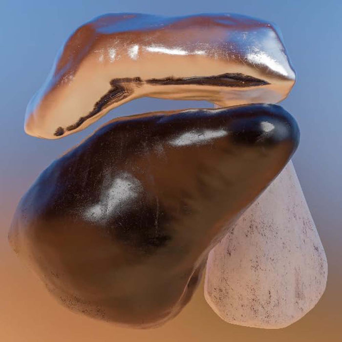 Helm Chemical Flowers Vinyl LP 2025