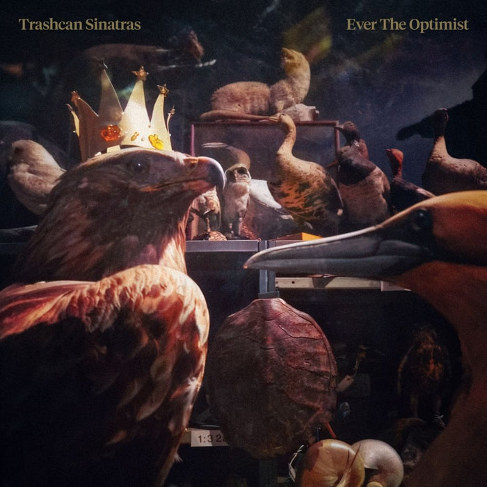 Trashcan Sinatras Ever The Optimist Vinyl