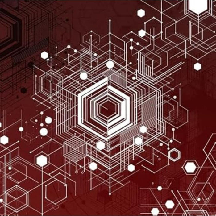 MEAT BEAT MANIFESTO & MERZBOW Extinct Vinyl LP