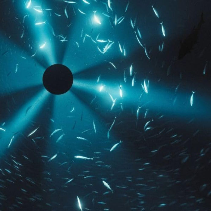 Laurel Halo Midnight Zone (Original Soundtrack) Vinyl LP Due Out 13/03/26