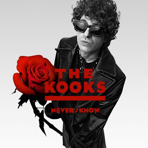 The Kooks Never/Know CD 2025