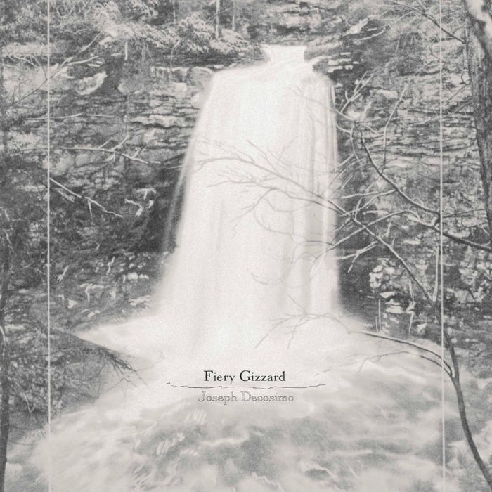 Joseph Decosimo Fiery Gizzard Vinyl LP 2025