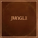 jungle sunshine cd