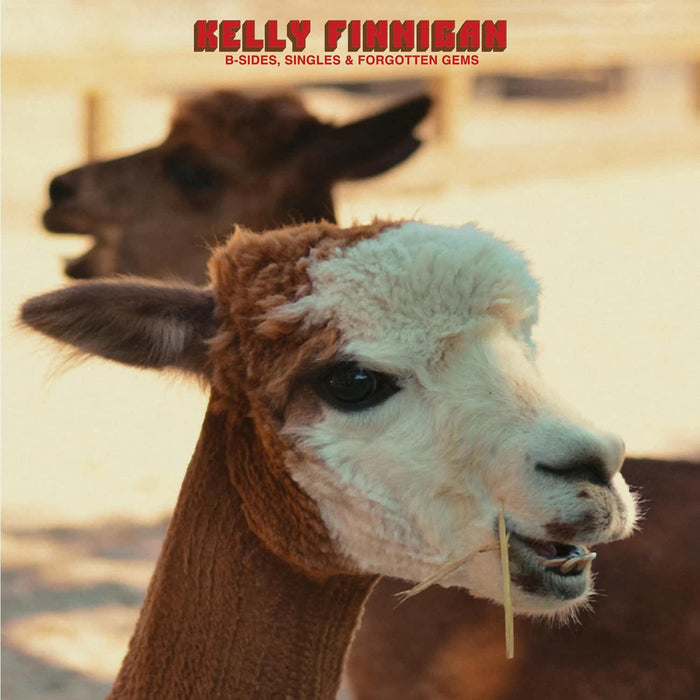 Kelly Finnigan B-Sides, Singles & Forgotten Gems Vinyl LP Due Out 14/08/26