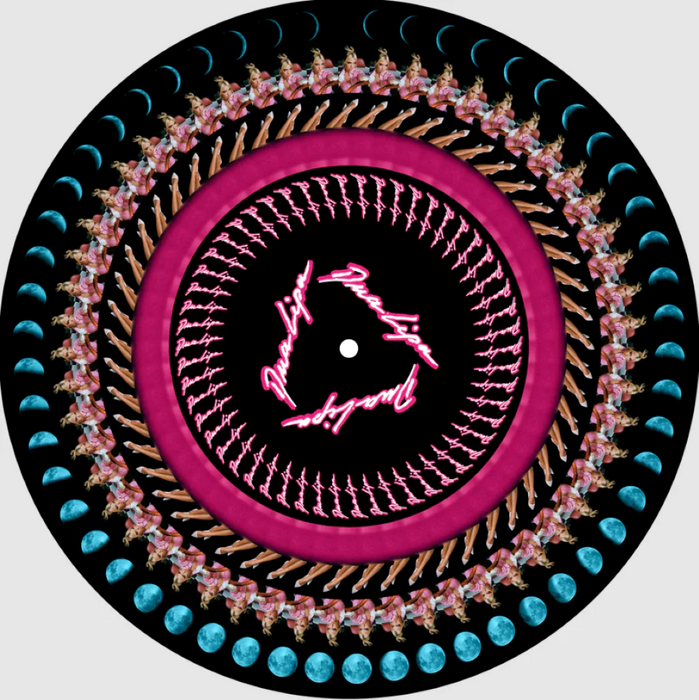Dua Lipa Future Nostalgia Vinyl LP Zoetrope Picture Disc 2024