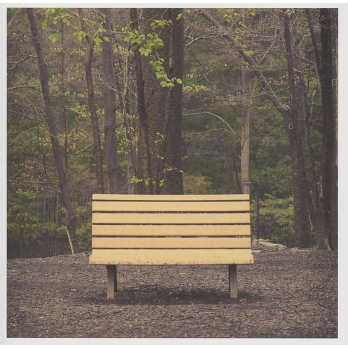 Streetlight Manifesto the Hands That Thieve Vinyl LP Clear Colour Due Out 26/06/26