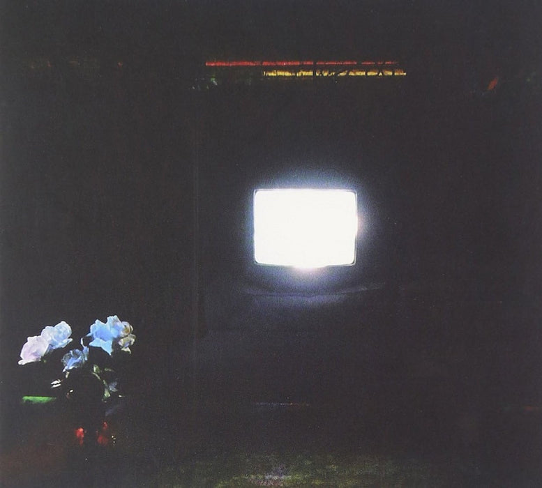 Emeralds Does It Look Like I'm Here? Vinyl LP Ectoplasm Colour 2023