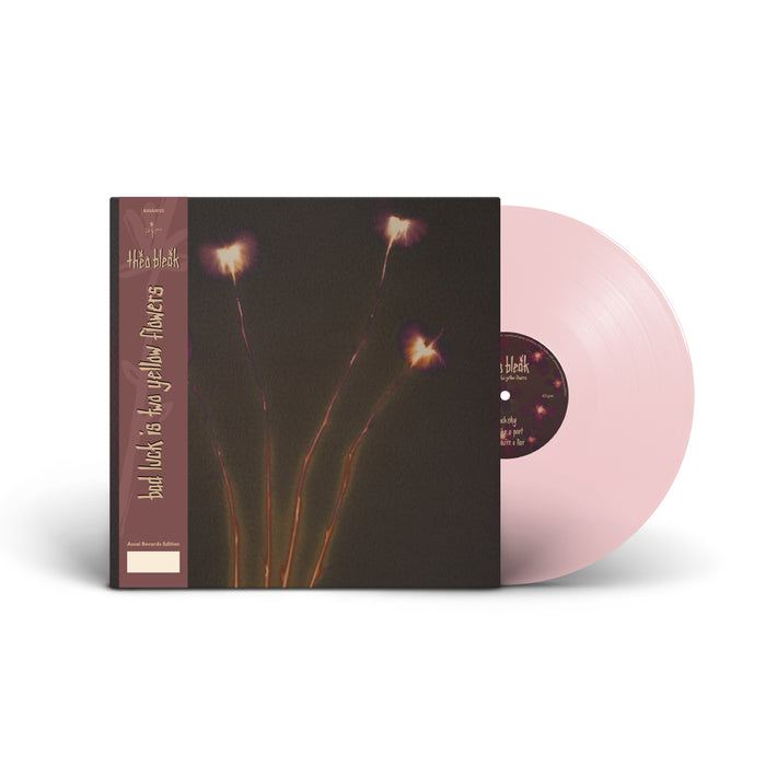 Theo Bleak Bad Luck Is Two Yellow Flowers 12" Vinyl EP 2025