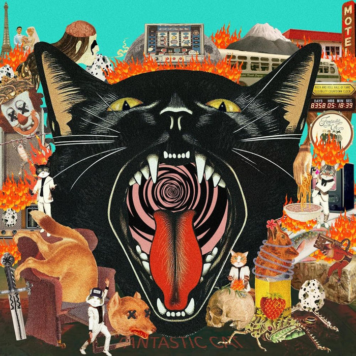 Fantastic Cat - Cat Out of Hell Vinyl LP 2026