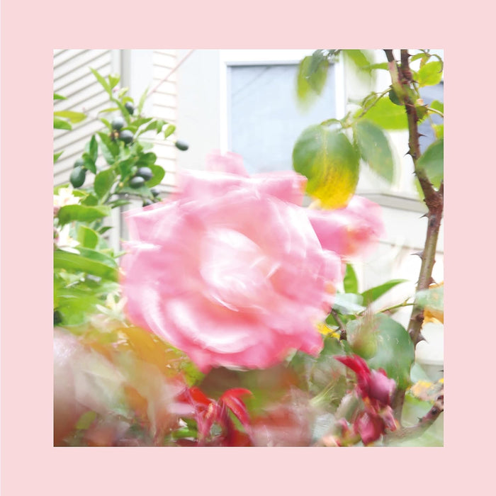 The Reds and Pinks and Purples Summer at Land's End CD 2022