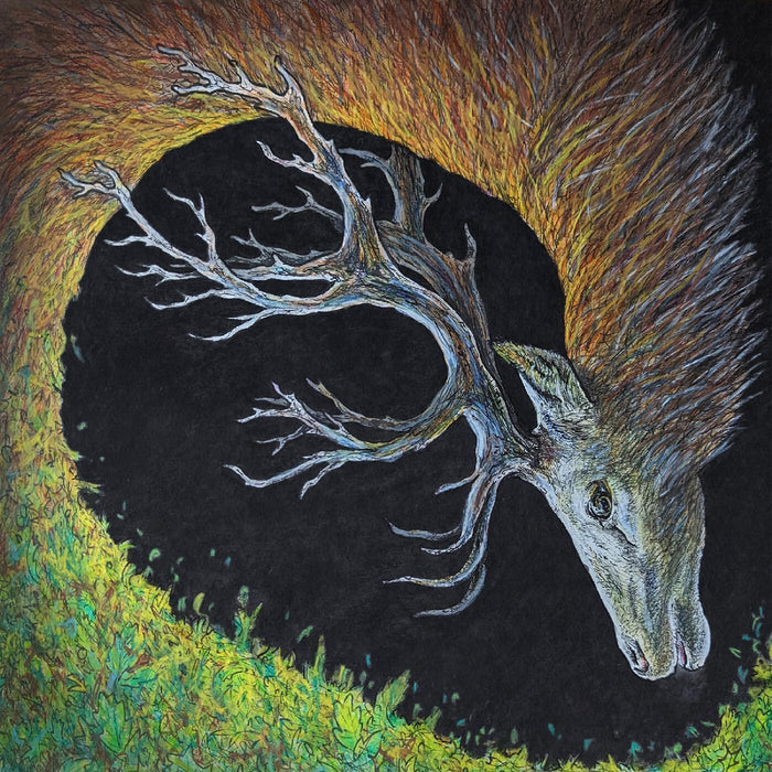 Petrels Infangthief Vinyl LP Clear Black Smoke Colour Due Out 16/10/26