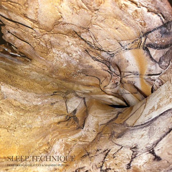 Demetrio Castellucci & Massimo Pupillo Sleep Technique Vinyl LP Due Out 13/03/26