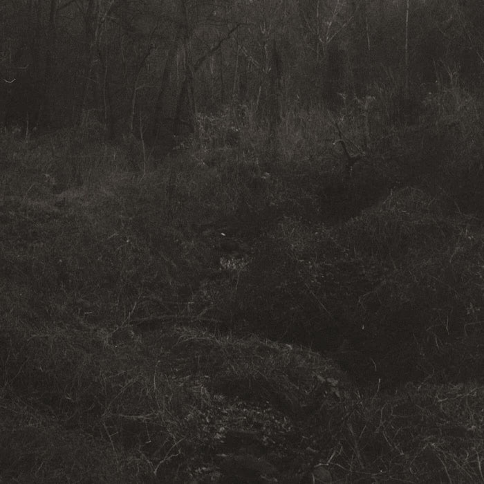 Lesley Mok Transient Viny LP Due Out 17/07/26