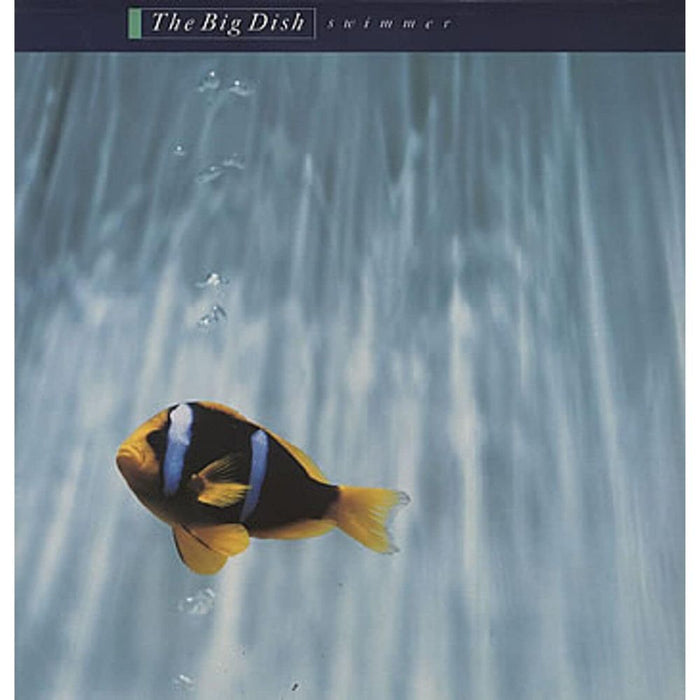 The Big Dish Swimmer (40th Anniversary) Vinyl LP Orange Colour Due Out 30/10/26