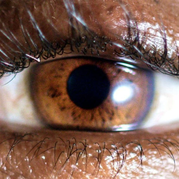 Evadney It's Dreaming Vinyl LP White Colour Due Out 20/03/26