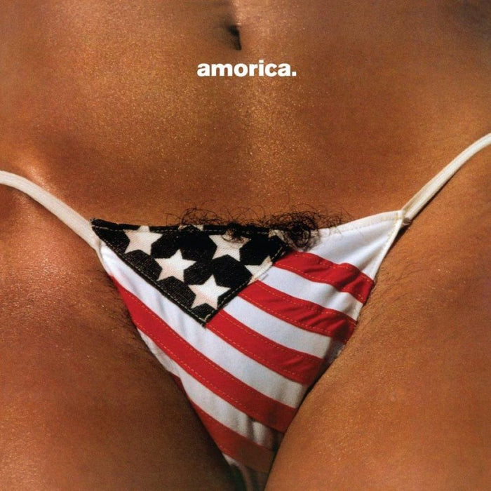 The Black Crowes Amorica Vinyl LP 2025