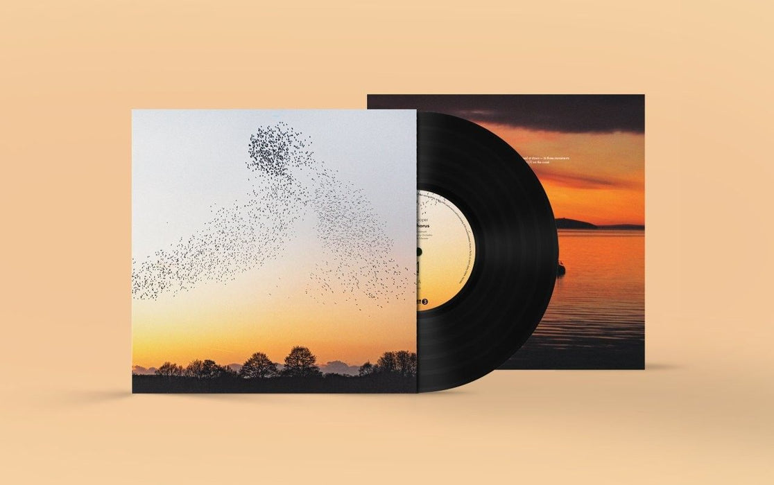 Erland Cooper Dawn Chorus Vinyl LP Due Out 20/11/26