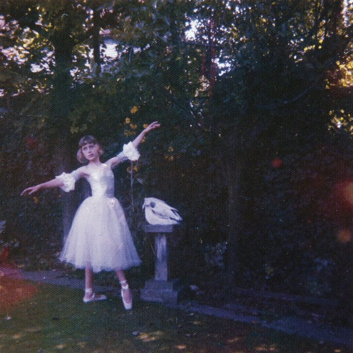 Wolf Alice Visions of a Life Vinyl