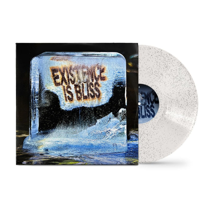DEADLETTER Existence is Bliss Vinyl LP Transparent Sparkle Colour + Signed Print Due Out 27/02/26