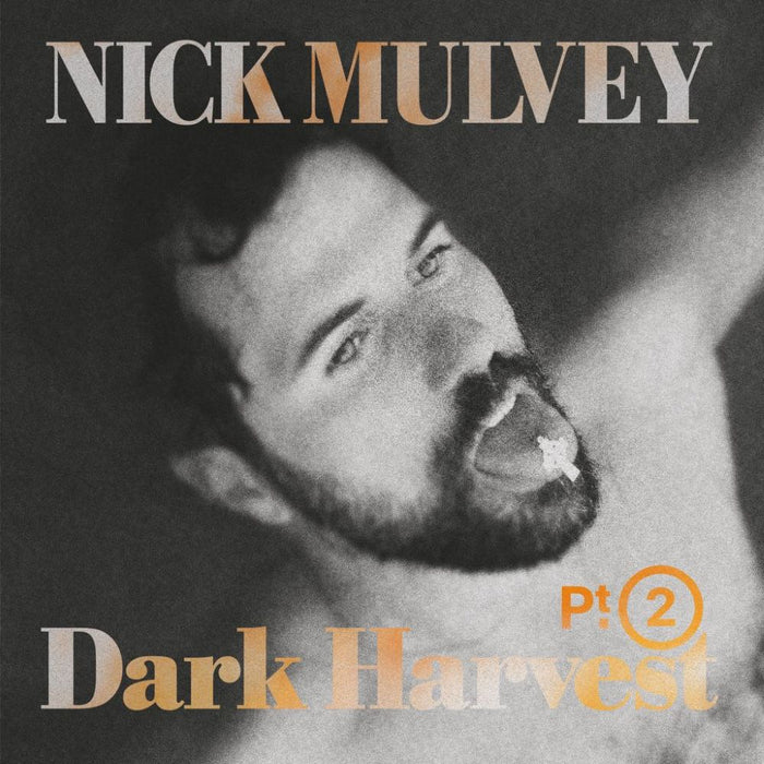 Nick Mulvey Dark Harvest Pt. 2 Vinyl LP Gold Colour 2025