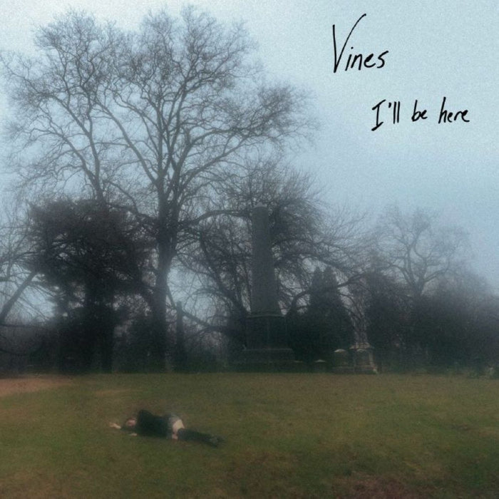 Vines I'll Be There Vinyl LP Cloud Colour 2025