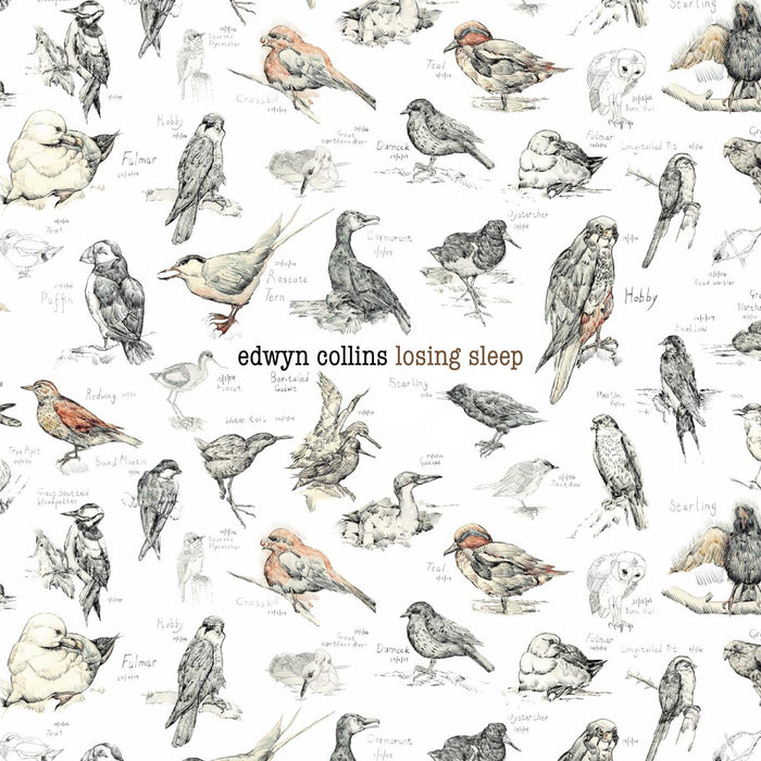Edwyn Collins Losing Sleep Vinyl LP 2010