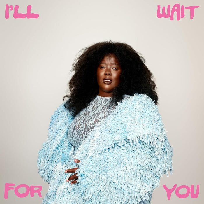 NNAVY I'll Wait For You Vinyl LP Due Out 30/10/26