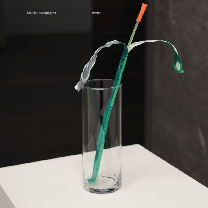 Dominic Waxing Lyrical Diminuet Vinyl LP 2024