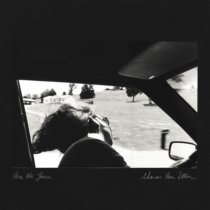 Sharon Van Etten Are We There Vinyl LP 10th Anniversary Black, Grey & Silver Split Colour 2024