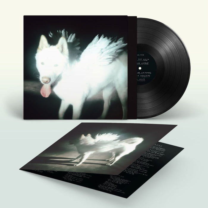Fat Dog Cancel Me (I'm Tired) Vinyl LP Due Out 02/10/26