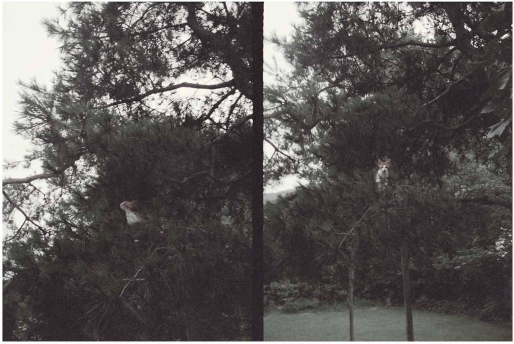 Okkyung Lee just like any other day (???) : background music for your mundane activities Vinyl LP 2025