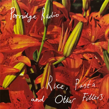 Porridge Radio - Rice Pasta And Other Fillers Vinyl LP Clear 2020